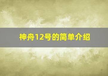 神舟12号的简单介绍