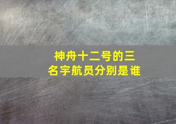 神舟十二号的三名宇航员分别是谁