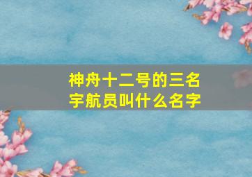 神舟十二号的三名宇航员叫什么名字