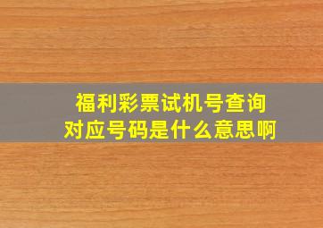 福利彩票试机号查询对应号码是什么意思啊