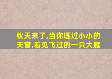 秋天来了,当你透过小小的天窗,看见飞过的一只大雁