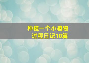 种植一个小植物过程日记10篇