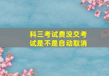 科三考试费没交考试是不是自动取消