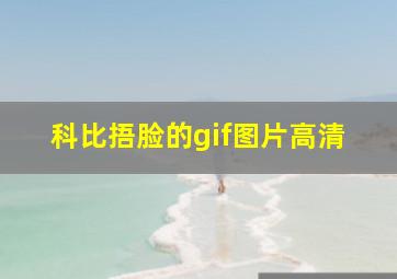 科比捂脸的gif图片高清