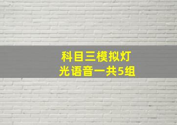 科目三模拟灯光语音一共5组