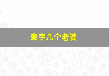 秦宇几个老婆