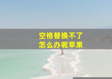 空格替换不了怎么办呢苹果