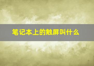 笔记本上的触屏叫什么