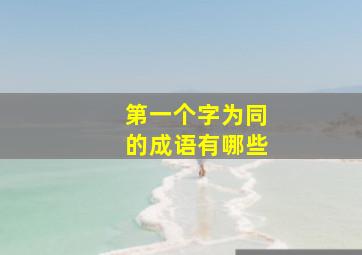 第一个字为同的成语有哪些