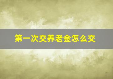 第一次交养老金怎么交