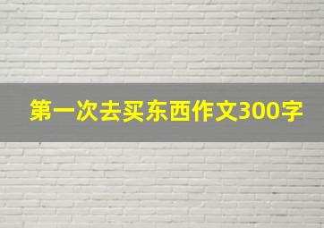 第一次去买东西作文300字