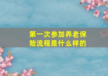 第一次参加养老保险流程是什么样的