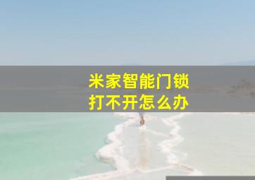 米家智能门锁打不开怎么办