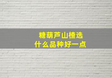 糖葫芦山楂选什么品种好一点