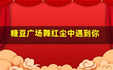 糖豆广场舞红尘中遇到你