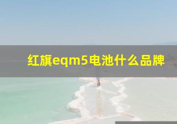 红旗eqm5电池什么品牌