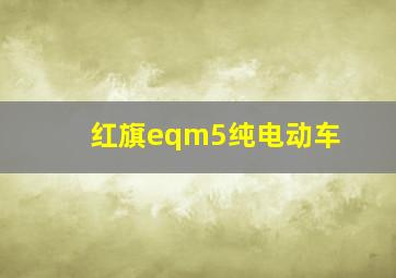 红旗eqm5纯电动车