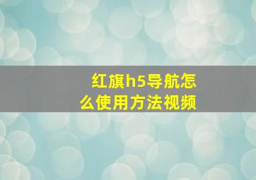 红旗h5导航怎么使用方法视频