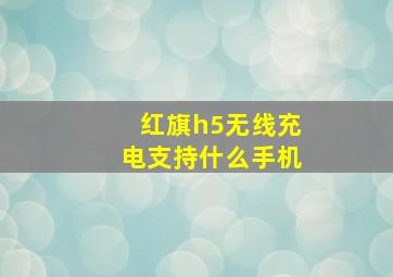 红旗h5无线充电支持什么手机