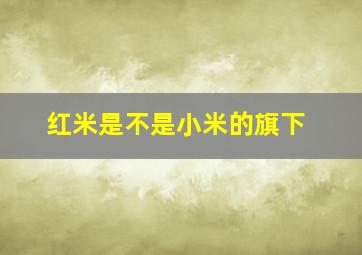 红米是不是小米的旗下