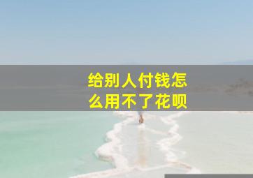 给别人付钱怎么用不了花呗