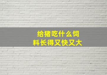 给猪吃什么饲料长得又快又大