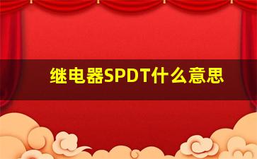 继电器SPDT什么意思