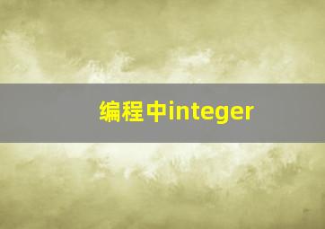 编程中integer