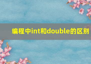 编程中int和double的区别