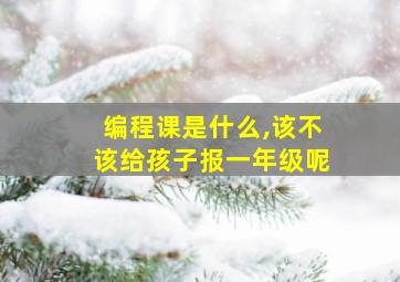 编程课是什么,该不该给孩子报一年级呢