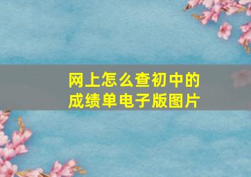 网上怎么查初中的成绩单电子版图片