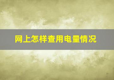 网上怎样查用电量情况