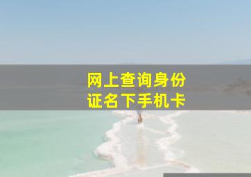 网上查询身份证名下手机卡