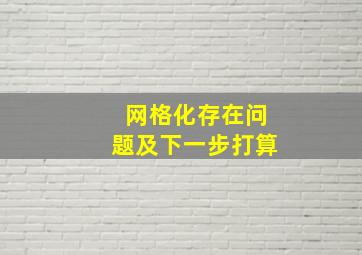 网格化存在问题及下一步打算