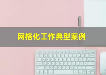 网格化工作典型案例