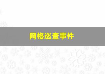 网格巡查事件