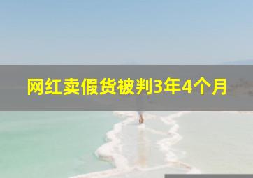 网红卖假货被判3年4个月