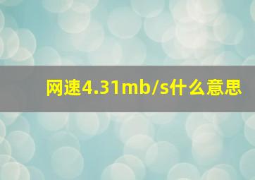 网速4.31mb/s什么意思