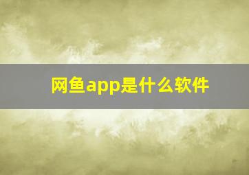 网鱼app是什么软件