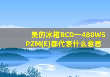 美的冰箱BCD一480WSPZM(E)都代表什么意思