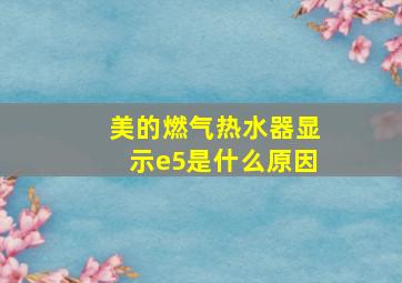 美的燃气热水器显示e5是什么原因