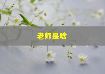 老师是啥