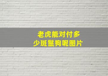 老虎能对付多少斑鬣狗呢图片