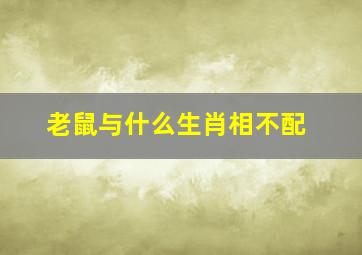 老鼠与什么生肖相不配