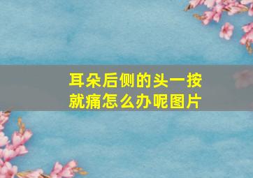 耳朵后侧的头一按就痛怎么办呢图片