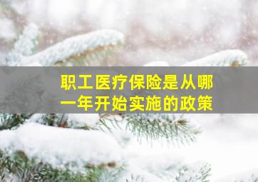 职工医疗保险是从哪一年开始实施的政策