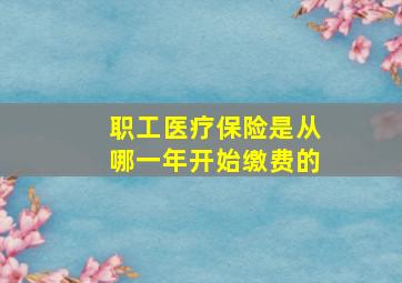 职工医疗保险是从哪一年开始缴费的