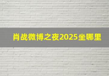 肖战微博之夜2025坐哪里