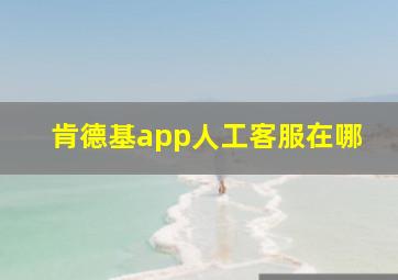 肯德基app人工客服在哪