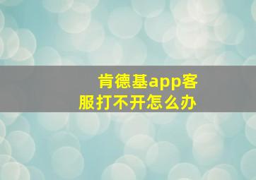 肯德基app客服打不开怎么办